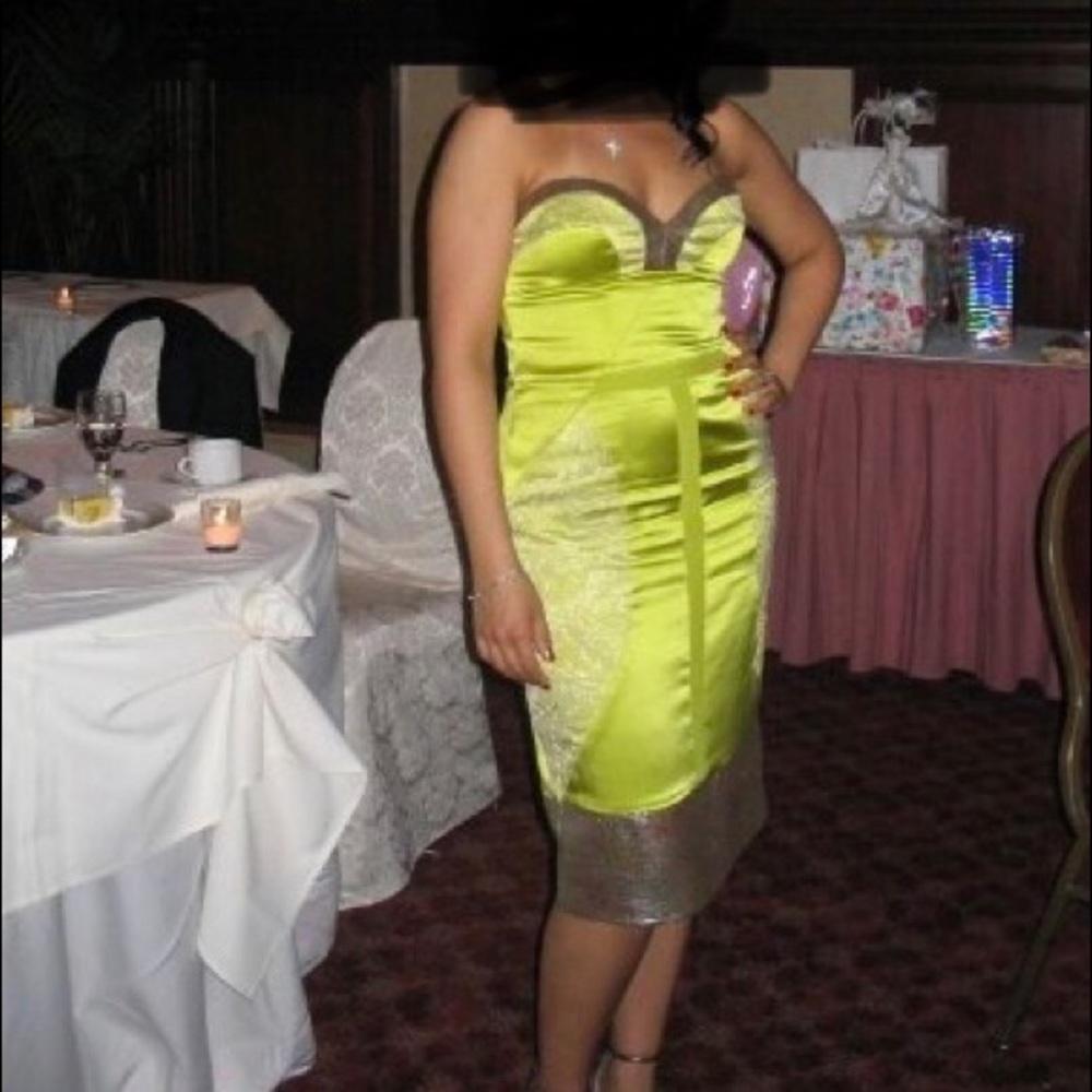 Nicole miller dress